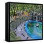 Penguin Pool, Madrid Zoo, 2015-Andrew Macara-Framed Stretched Canvas