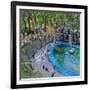 Penguin Pool, Madrid Zoo, 2015-Andrew Macara-Framed Giclee Print