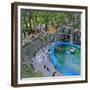 Penguin Pool, Madrid Zoo, 2015-Andrew Macara-Framed Giclee Print