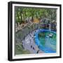 Penguin Pool, Madrid Zoo, 2015-Andrew Macara-Framed Giclee Print