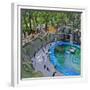 Penguin Pool, Madrid Zoo, 2015-Andrew Macara-Framed Giclee Print