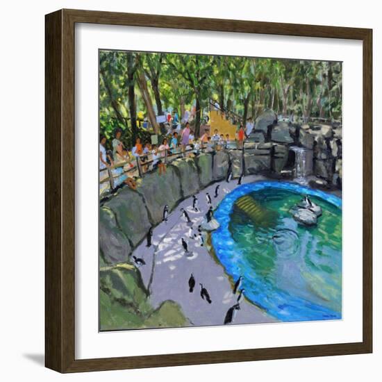 Penguin Pool, Madrid Zoo, 2015-Andrew Macara-Framed Giclee Print