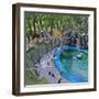 Penguin Pool, Madrid Zoo, 2015-Andrew Macara-Framed Giclee Print