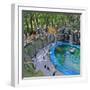 Penguin Pool, Madrid Zoo, 2015-Andrew Macara-Framed Giclee Print