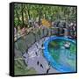 Penguin Pool, Madrid Zoo, 2015-Andrew Macara-Framed Stretched Canvas