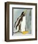 Penguin-Beth Sheffield-Framed Art Print