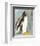 Penguin-Beth Sheffield-Framed Art Print