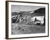 Penguins and Gramophone-null-Framed Photographic Print