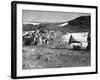 Penguins and Gramophone-null-Framed Photographic Print