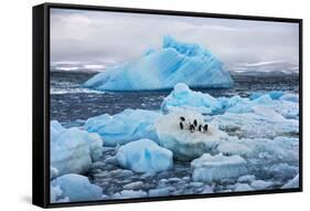 Penguins and Ice-Howard Ruby-Framed Stretched Canvas