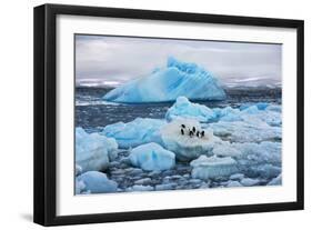Penguins and Ice-Howard Ruby-Framed Photographic Print