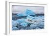 Penguins and Ice-Howard Ruby-Framed Photographic Print