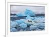 Penguins and Ice-Howard Ruby-Framed Photographic Print