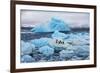 Penguins and Ice-Howard Ruby-Framed Photographic Print