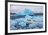 Penguins and Ice-Howard Ruby-Framed Photographic Print