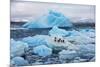 Penguins and Ice-Howard Ruby-Mounted Photographic Print