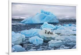 Penguins and Ice-Howard Ruby-Framed Photographic Print