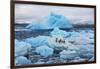 Penguins and Ice-Howard Ruby-Framed Photographic Print