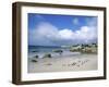 Penguins at the Boulders, Cape Town, South Africa-Bill Bachmann-Framed Photographic Print