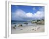 Penguins at the Boulders, Cape Town, South Africa-Bill Bachmann-Framed Photographic Print