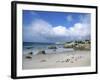 Penguins at the Boulders, Cape Town, South Africa-Bill Bachmann-Framed Photographic Print