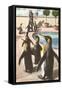 Penguins at the Zoo-null-Framed Stretched Canvas