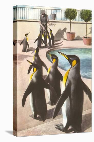 Penguins at the Zoo-null-Stretched Canvas