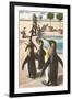 Penguins at the Zoo-null-Framed Art Print