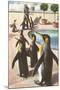 Penguins at the Zoo-null-Mounted Art Print