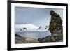 Penguins below dramatic rock formations, Half Moon Bay, South Sheltand Islands, Antarctica, Polar R-Michael Runkel-Framed Photographic Print