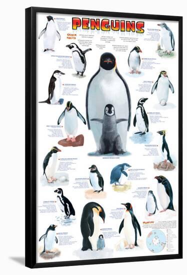 Penguins Chart-null-Framed Poster