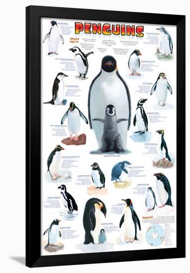 Penguins Chart-null-Framed Poster