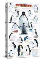 Penguins Chart-null-Stretched Canvas