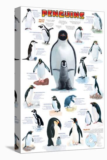 Penguins Chart-null-Stretched Canvas