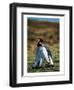 Penguins Falling Asleep-null-Framed Art Print