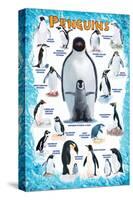 Penguins for Kids-null-Stretched Canvas