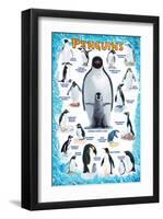 Penguins for Kids-null-Framed Art Print