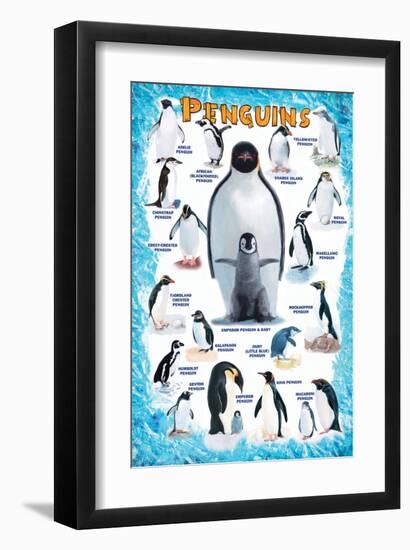 Penguins for Kids-null-Framed Art Print