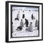 Penguins in the Snow-null-Framed Premium Photographic Print