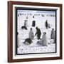 Penguins in the Snow-null-Framed Photographic Print