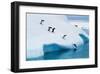 Penguins Jumping Of Glacier-null-Framed Art Print