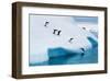 Penguins Jumping Of Glacier-null-Framed Art Print