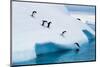 Penguins Jumping Of Glacier-null-Mounted Art Print