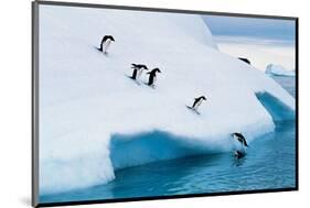 Penguins Jumping Of Glacier-null-Mounted Art Print