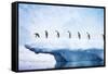 Penguins, Line Walking Along Iceberg-null-Framed Stretched Canvas