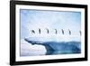 Penguins, Line Walking Along Iceberg-null-Framed Photographic Print