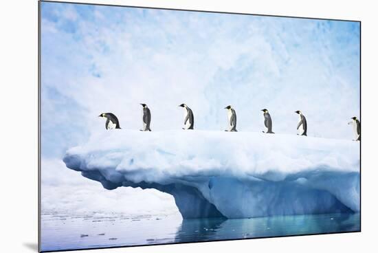 Penguins, Line Walking Along Iceberg-null-Mounted Photographic Print