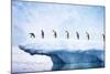 Penguins, Line Walking Along Iceberg-null-Mounted Photographic Print