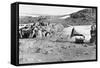 Penguins Listening to the Gramophone During Shackleton's 1907-09 Antarctic Expedition, from 'The…-English Photographer-Framed Stretched Canvas