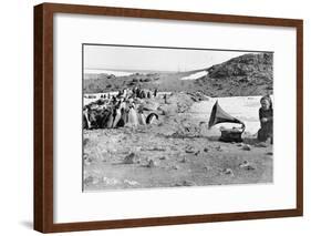 Penguins Listening to the Gramophone During Shackleton's 1907-09 Antarctic Expedition, from 'The…-English Photographer-Framed Giclee Print